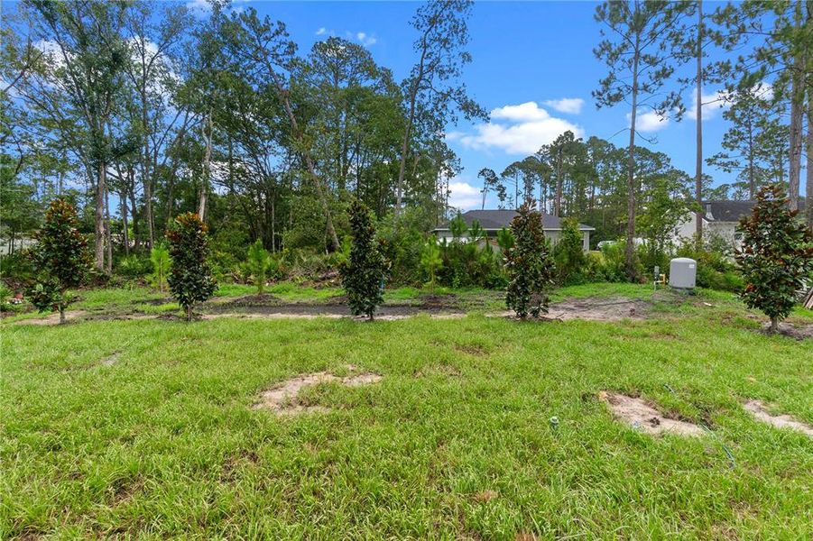 Natural landscape and outdoor views near  in Deland (Image 42).