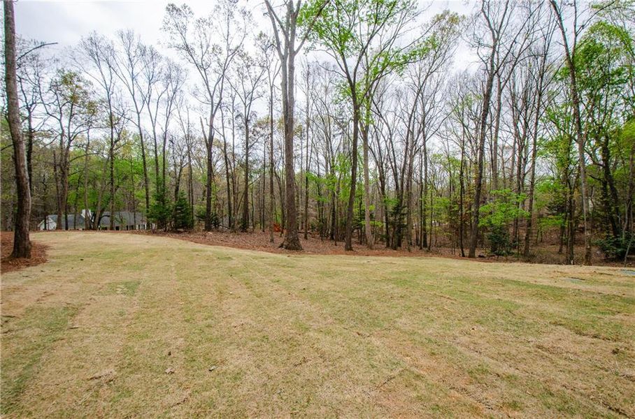Natural landscape and outdoor views near  in Gainesville (Image 41).