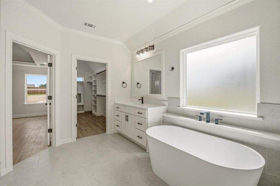 Full bathroom with vanity, a spacious closet, crown molding, and a freestanding bath