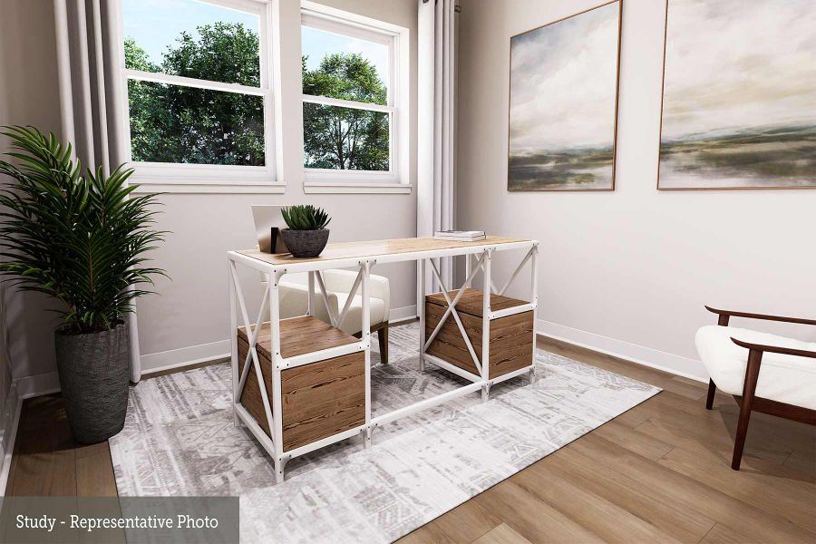 The Harlingen - Study