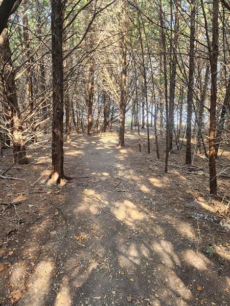 Natural landscape and outdoor views near  in Ennis (Image 23).
