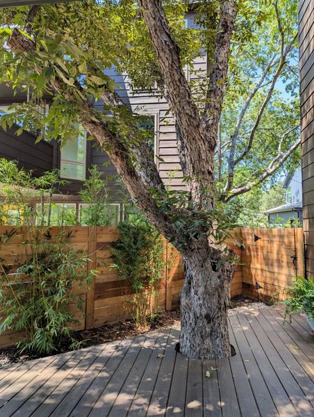 Front exterior of a new home in , Austin, TX, highlighting curb appeal (Image 1). Front exterior of a new home in , Austin, TX, highlighting curb appeal (Image 1).