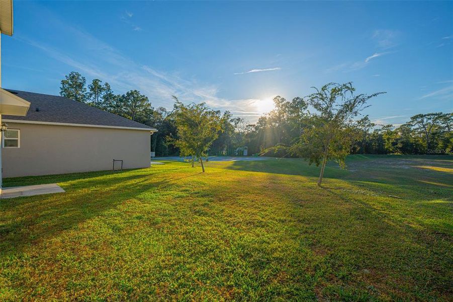 Exterior details and patio area of a home in Pelham Park, Deland (Image 3).