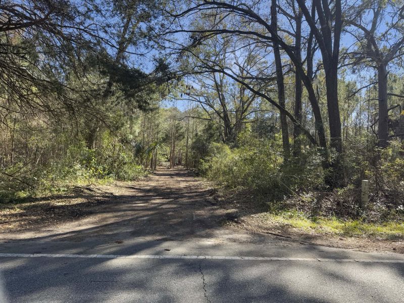 Natural landscape and outdoor views near  in Johns Island (Image 17).