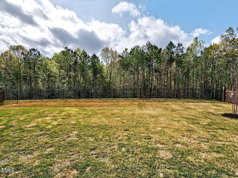 034-1280x960-backyard