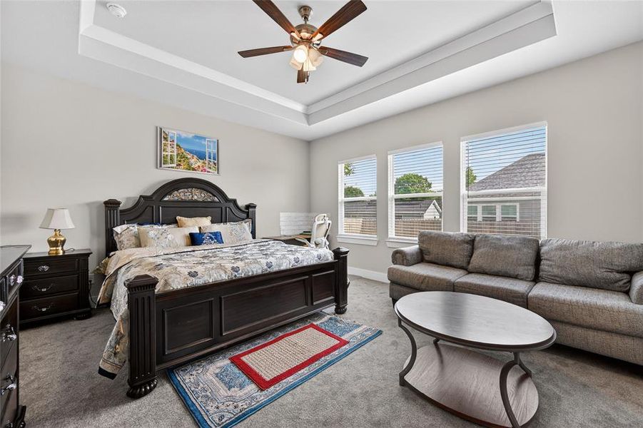 This spacious bedroom features a tray ceiling with a ceiling fan, plush grey carpeting, and three large windows providing natural light