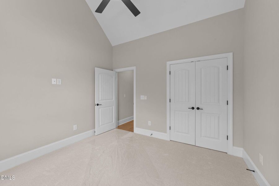 45-web-or-mls-VB4A0584