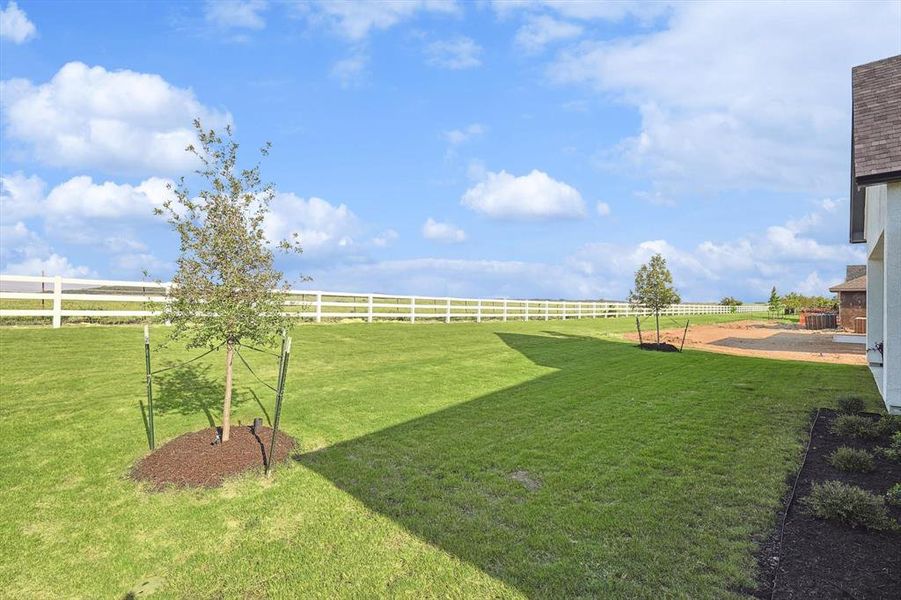 View of yard with a rural view