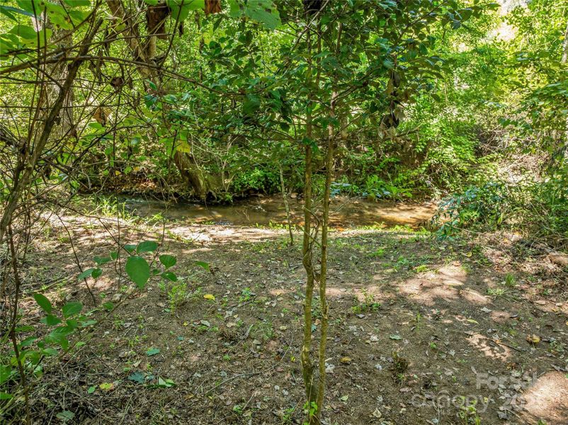 Natural landscape and outdoor views near  in Arden (Image 30).