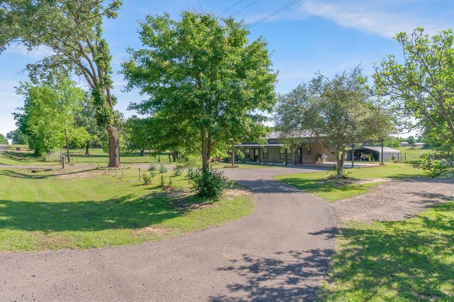Natural landscape and outdoor views near in Winnsboro (Image 27). Natural landscape and outdoor views near in Winnsboro (Image 27).