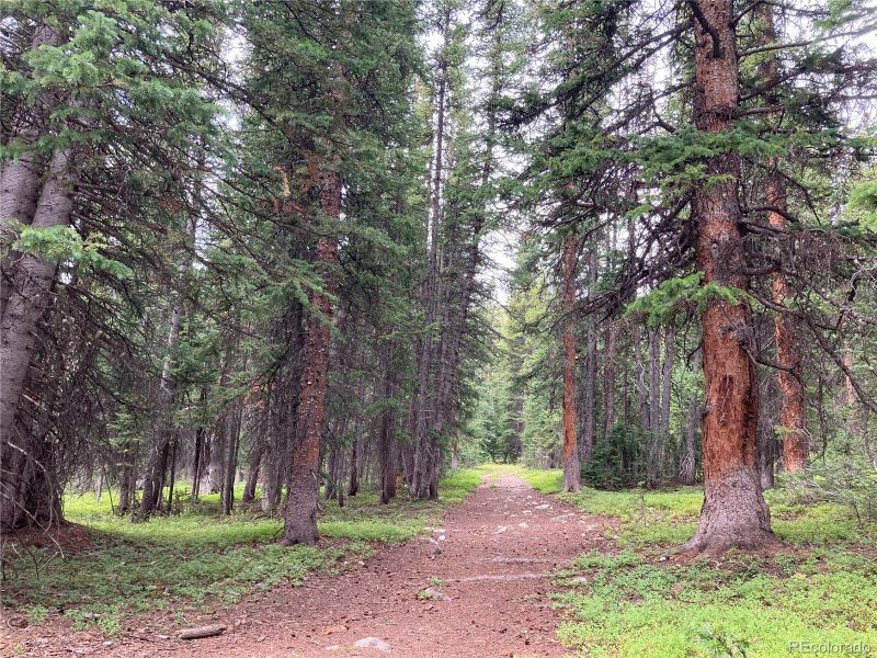 North Star offers direct access to the wilderness via great trails that are convenient for residents only to access