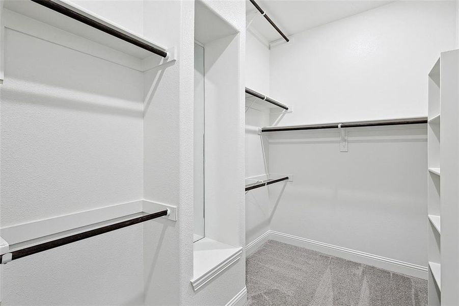 Spacious closet featuring light colored carpet