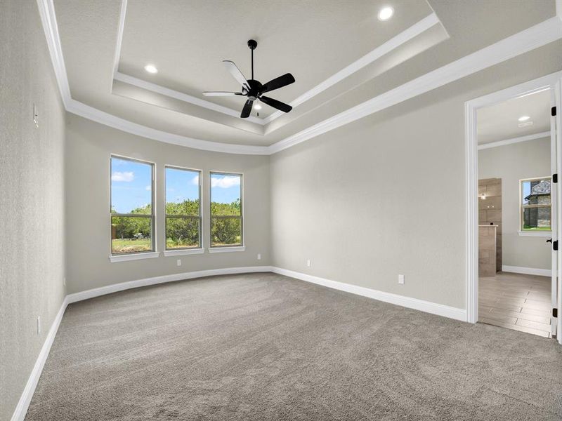 Carpeted spare room featuring a tray ceiling, crown molding, and ceiling fan