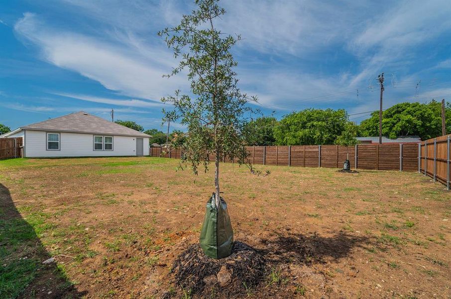 Edited_440_Rose_Ave_13