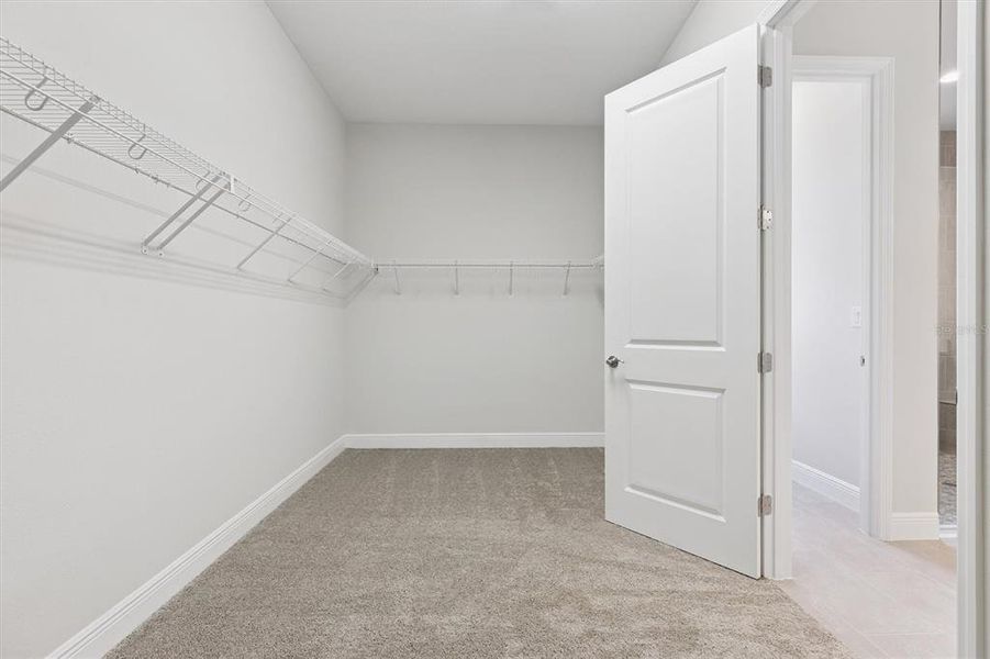 Spacious, unfurnished interior of a new home in Hawkstone, Lithia (Image 25).