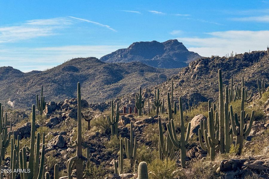 118-web-or-mls-1313 Tortolita Mountain C 118-web-or-mls-1313 Tortolita Mountain C