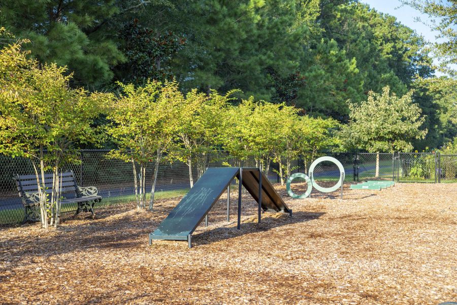 Community amenities in Carnes Crossroads, Summerville (Image 20).