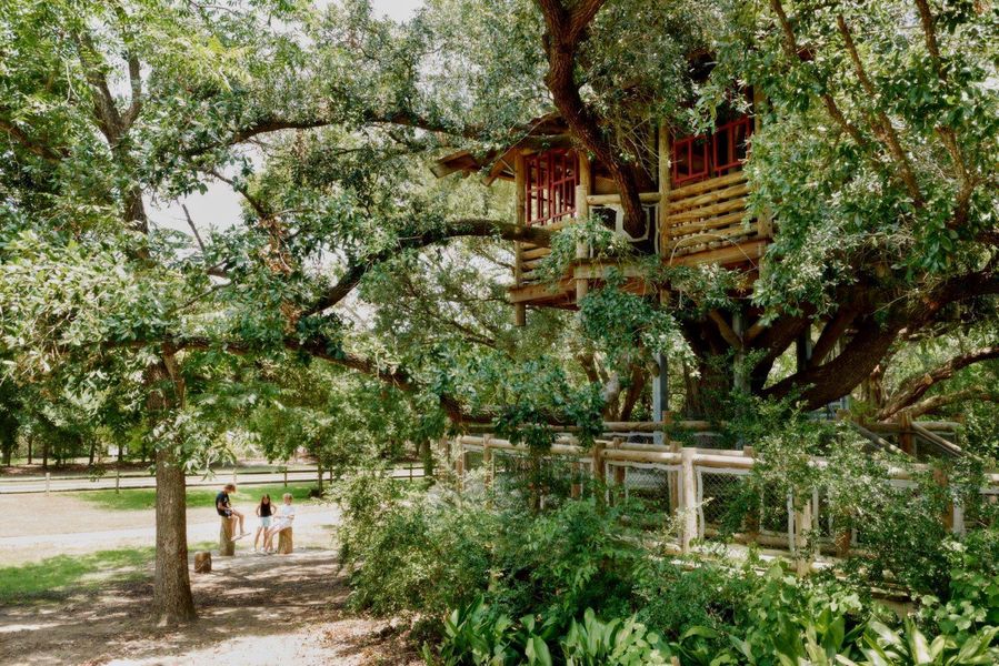 Image 7 of a home in Bridgeland.