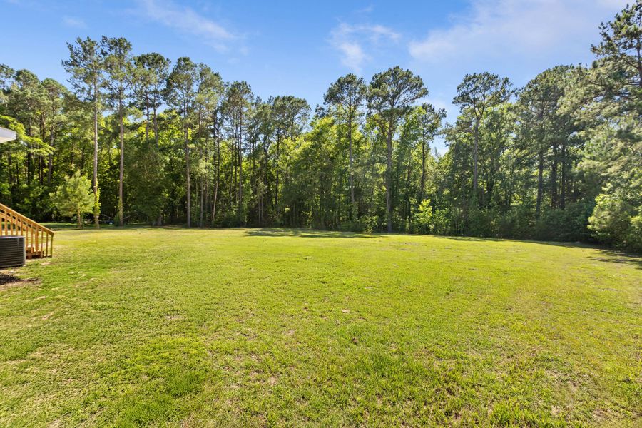 Natural landscape and outdoor views near  in Cross (Image 52).
