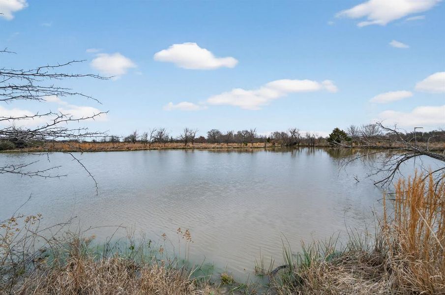 Natural landscape and outdoor views near  in Lone Oak (Image 30).
