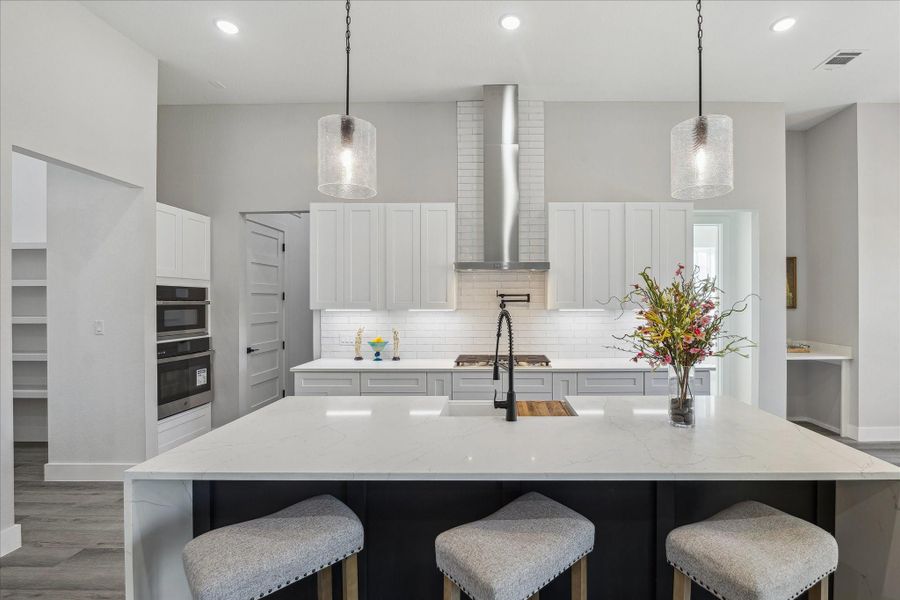 Up close picture of the Kitchen. Pot Filing Faucet at the Range, loads of Cabinet Space, and just to the left a huge Walk In Pantry with Built in Shelving on 2 walls. Beyond that is generous under the stairs Storage Space.