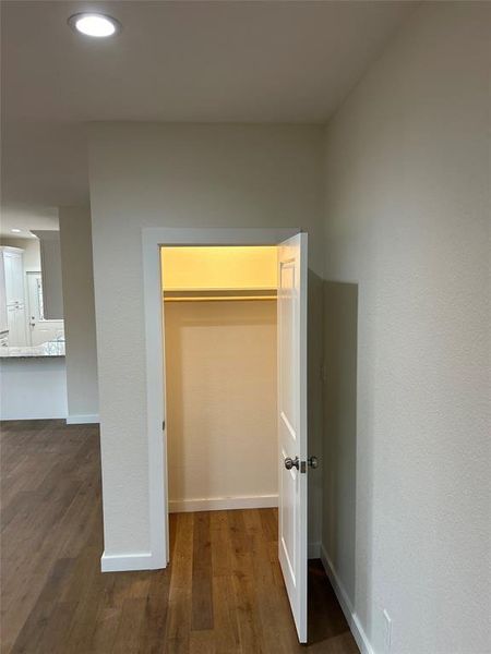 Living room storage closet