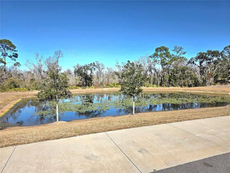 Natural landscape and outdoor views near  in Davenport (Image 20).