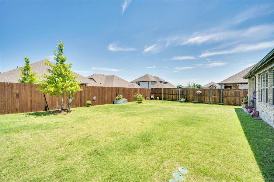 Backyard