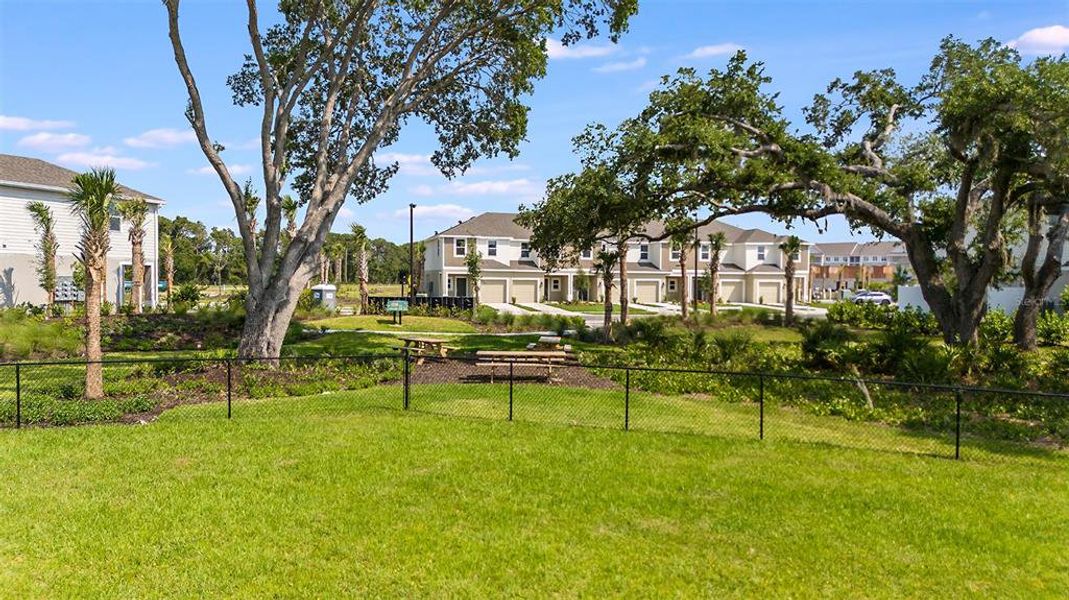 Image 53 of a home in Vinterra Townhomes.