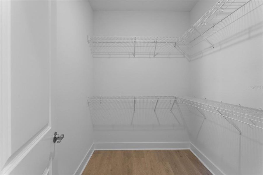 Spacious, unfurnished interior of a new home in , Tampa (Image 45).