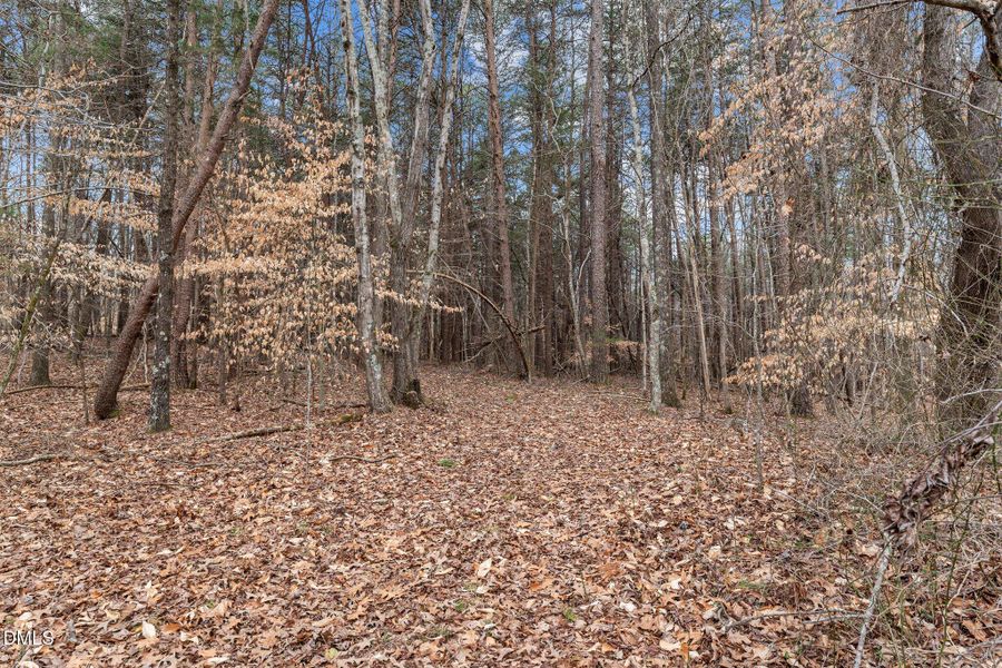 7-web-or-mls-_1190493