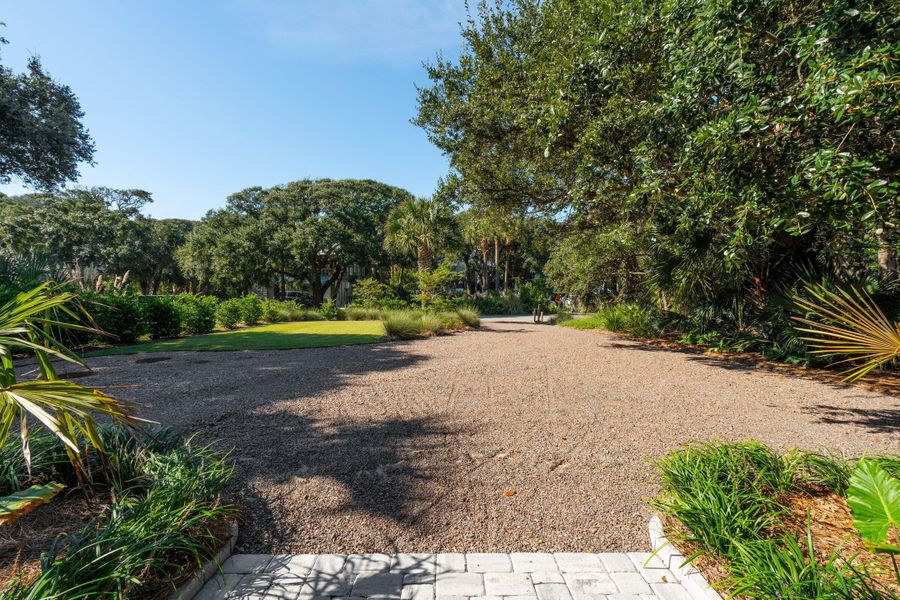 Natural landscape and outdoor views near  in Folly Beach (Image 63).