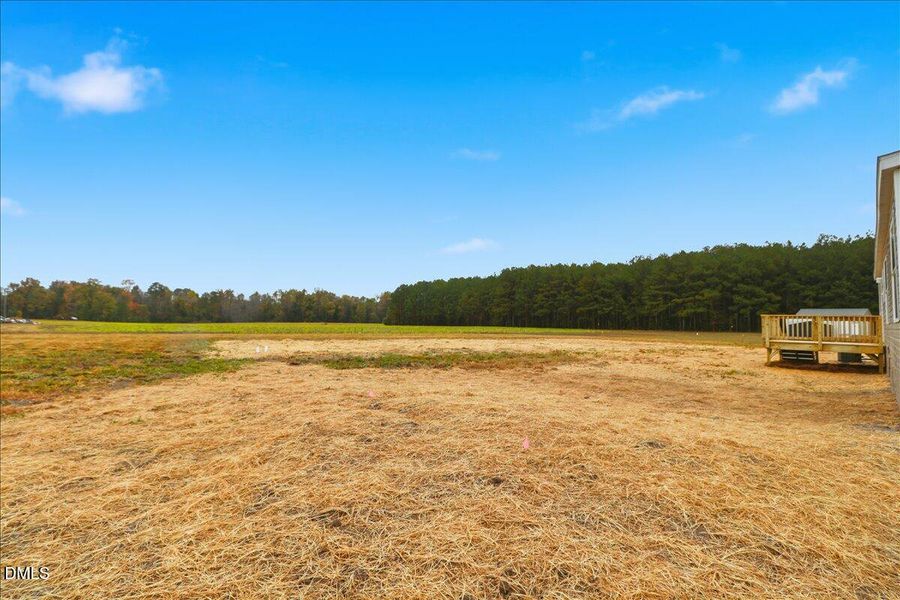 04-79 Old Daughtry Rd-4