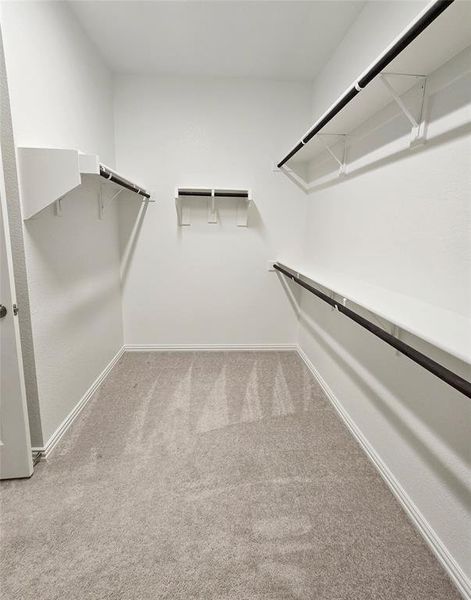 Walk in closet with carpet flooring
