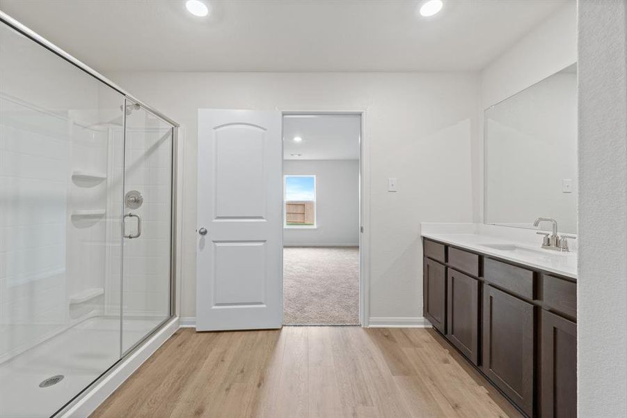 Bathroom with walk in shower, wood-style floors, and vanity