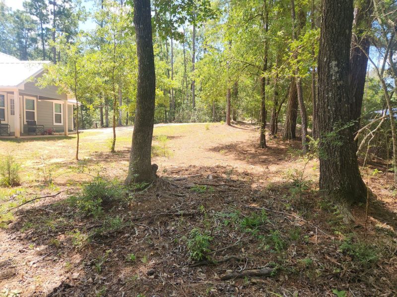 Natural landscape and outdoor views near in Coldspring (Image 39). Natural landscape and outdoor views near in Coldspring (Image 39).