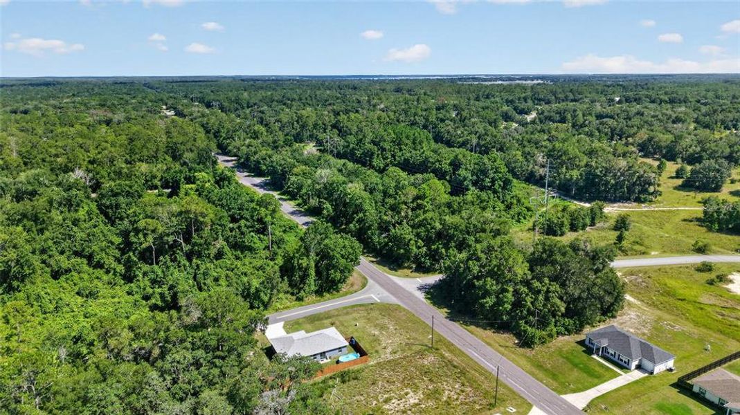 Natural landscape and outdoor views near in Ocala (Image 51). Natural landscape and outdoor views near in Ocala (Image 51).