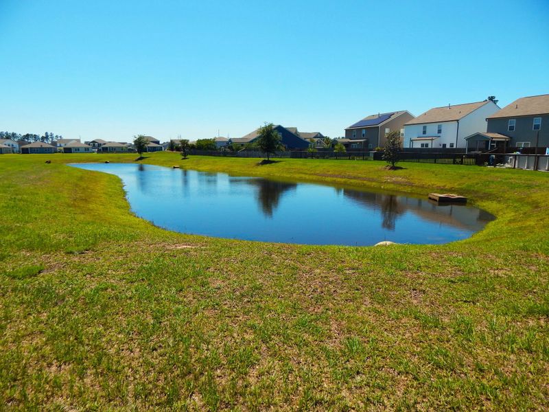 Natural landscape and outdoor views near  in Summerville (Image 22).