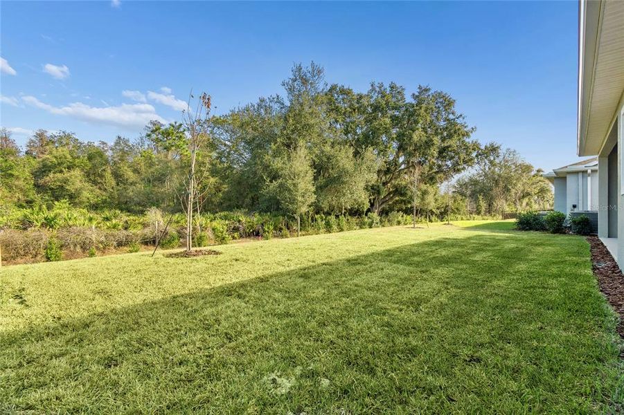 Exterior details and patio area of a home in Chapel Crossings, Wesley Chapel (Image 3).