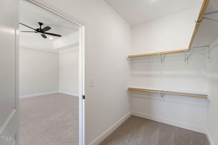 34-web-or-mls-DSC07772