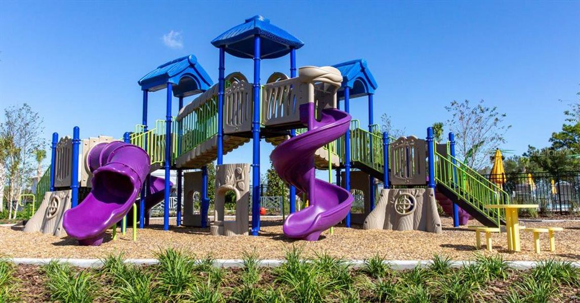 Community amenities in , Wesley Chapel (Image 24).