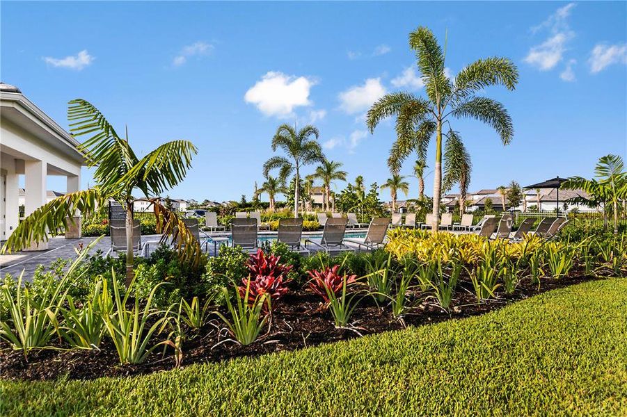 Image 47 of a home in Esplanade at Skye Ranch.