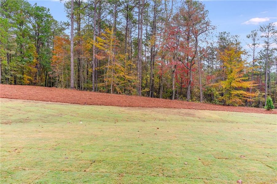 Natural landscape and outdoor views near Liberty Station in Bremen (Image 32). Natural landscape and outdoor views near Liberty Station in Bremen (Image 32).