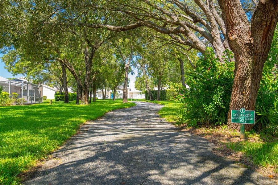 Natural landscape and outdoor views near  in Weeki Wachee (Image 61).