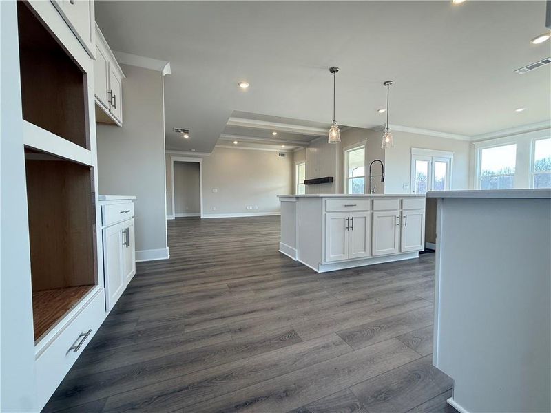 Spacious, unfurnished interior of a new home in Ponderosa Farms Manor, Gainesville (Image 44).