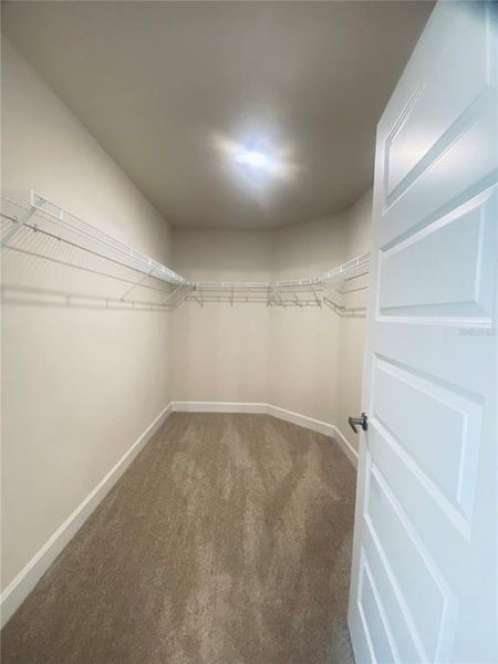 Spacious, unfurnished interior of a new home in , Harmony (Image 17). Spacious, unfurnished interior of a new home in , Harmony (Image 17).