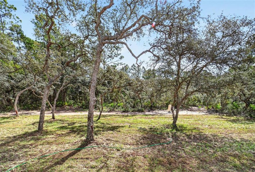 Natural landscape and outdoor views near  in Ocklawaha (Image 33).