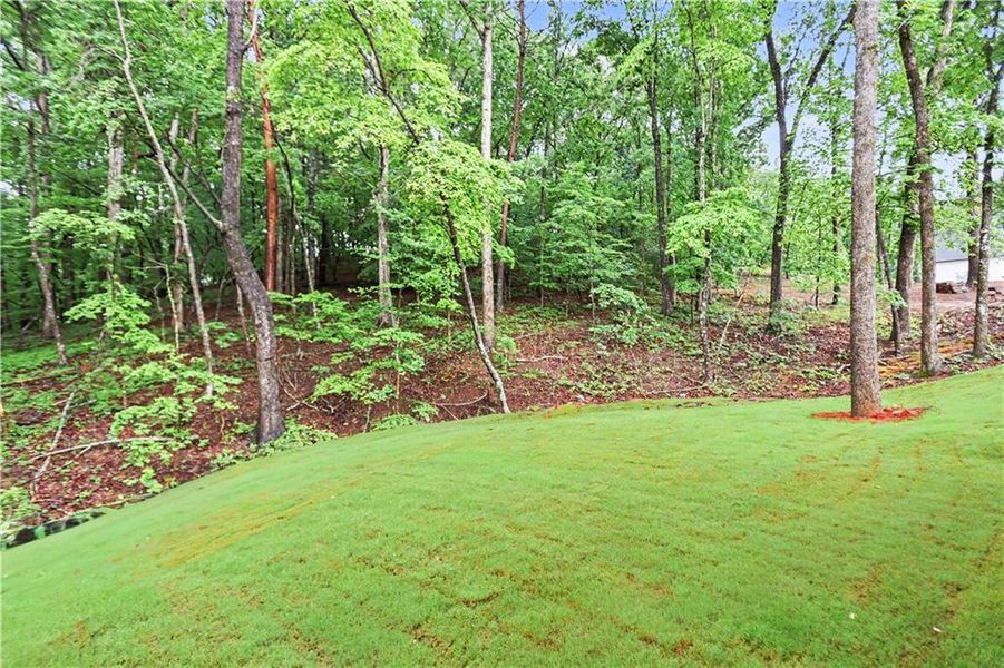 Natural landscape and outdoor views near in Gainesville (Image 47). Natural landscape and outdoor views near in Gainesville (Image 47).