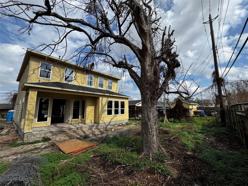 Backyard - photo taken 2/5/2025