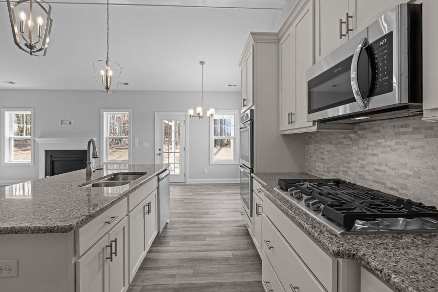 Gourmet Kitchen Option Gourmet Kitchen Option